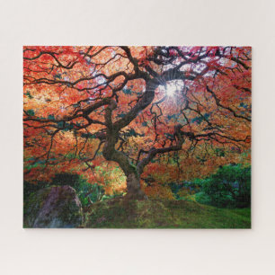 Autumn Maple Tree in Portland Japanese Garden Jigsaw Puzzle