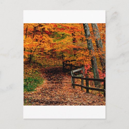 Autumn Mccormick Creek State Park Indiana Postcard