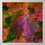 Autumn Moods 3 Art Poster