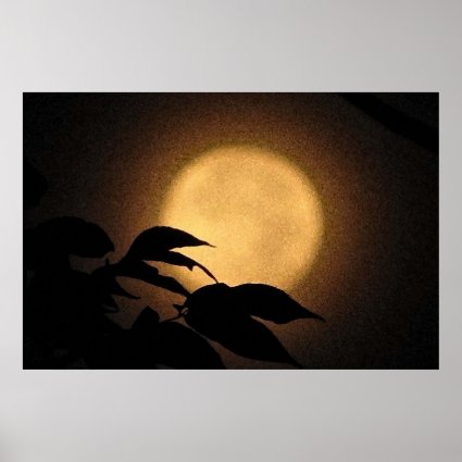 Autumn Moon Poster