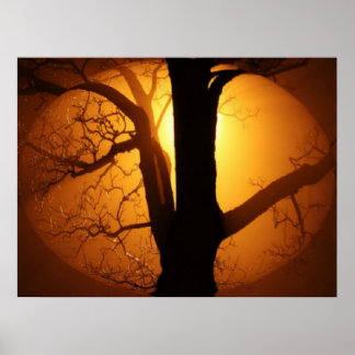 Autumn Moon Shining Through the Tree Print