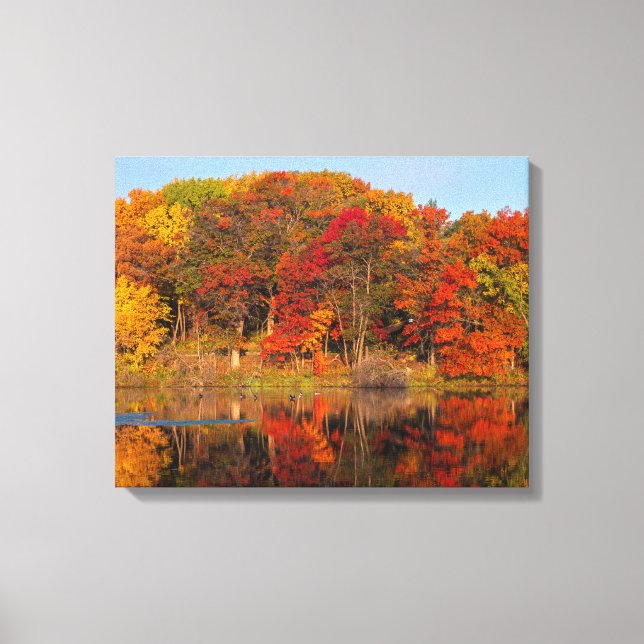 autumn morning at marthaler park and pond  canvas print (Front)