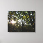 Autumn Morning at Shenandoah National Park Canvas Print