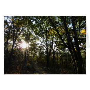 Autumn Morning at Shenandoah National Park Cards