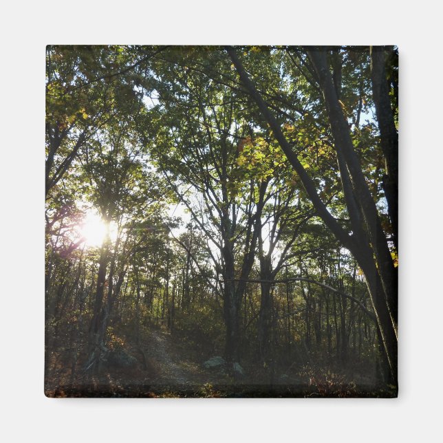 Autumn Morning at Shenandoah National Park Magnet (Front)