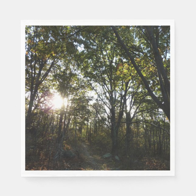 Autumn Morning at Shenandoah National Park Paper Napkins (Front)
