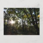 Autumn Morning at Shenandoah National Park Postcard