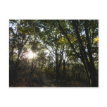 Autumn Morning at Shenandoah National Park Postcard