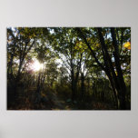 Autumn Morning at Shenandoah National Park Poster