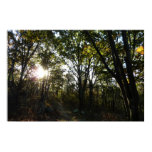 Autumn Morning at Shenandoah National Park Poster