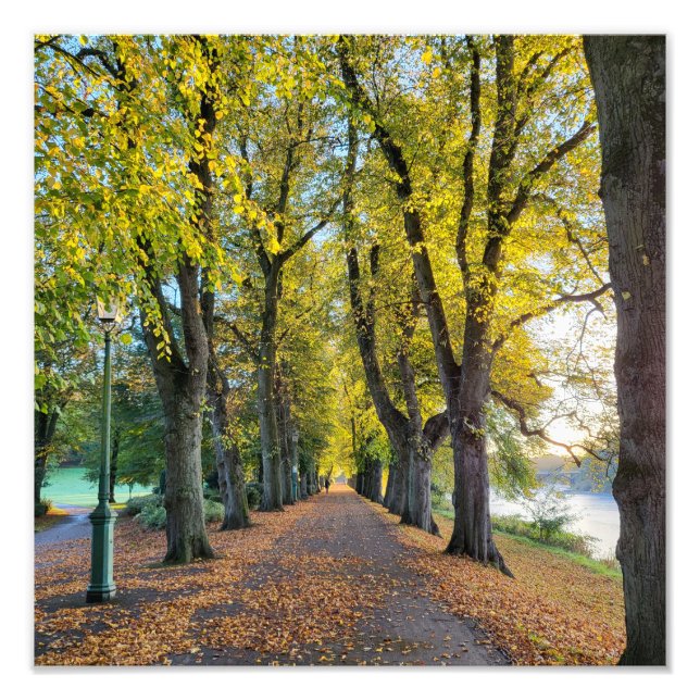 Autumn Morning Photo Print (Front)