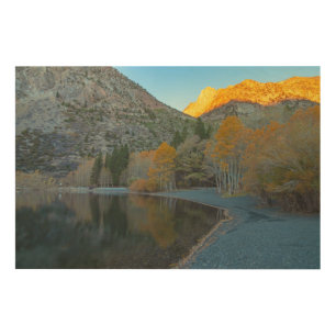 Autumn Morning Wood Wall Art