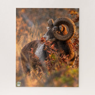 Autumn Mouflon in Golden Light Jigsaw Puzzle