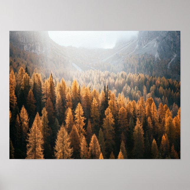 Autumn Mountain View With Yellow Larches Poster (Front)