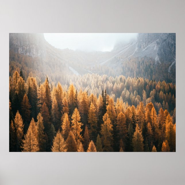 Autumn Mountain View With Yellow Larches  Poster (Front)