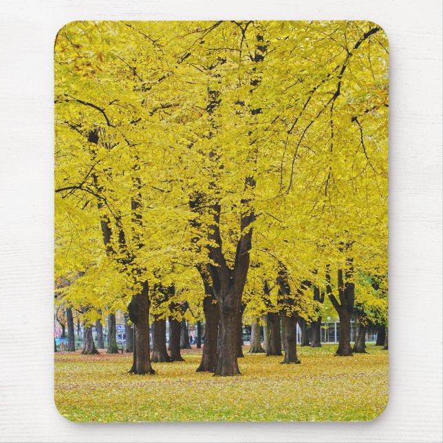 Autumn Mousepad (Front)