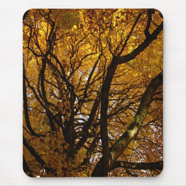 Autumn Mousepad Beautiful Autumn Landscape Gifts (Front)