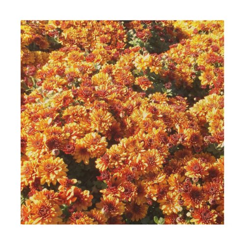 Autumn Mums Wood Wall Art