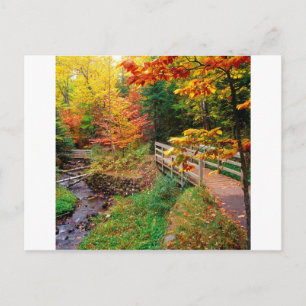 Autumn Munising Trail Alger County Michigan Postcard