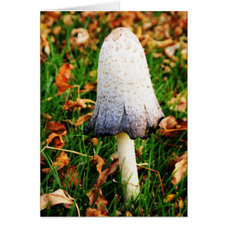 Autumn Mushroom Cards