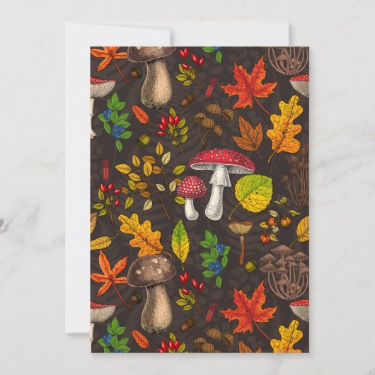 Autumn mushrooms, leaves, nuts and berries on dark (Front)