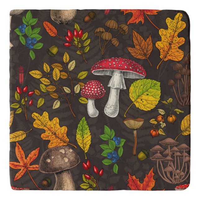 Autumn mushrooms, leaves, nuts and berries on dark trivet (Front)
