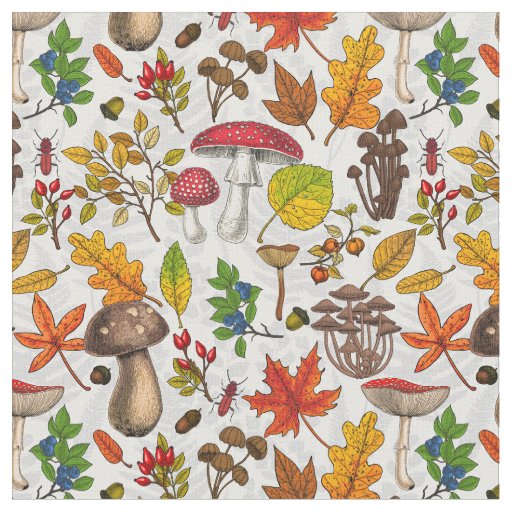 Autumn mushrooms, leaves, nuts and berries on whit fabric