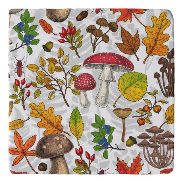 Autumn mushrooms, leaves, nuts and berries on whit trivet (Front)