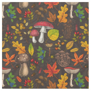 Autumn mushrooms,nuts and berries on dark fabric