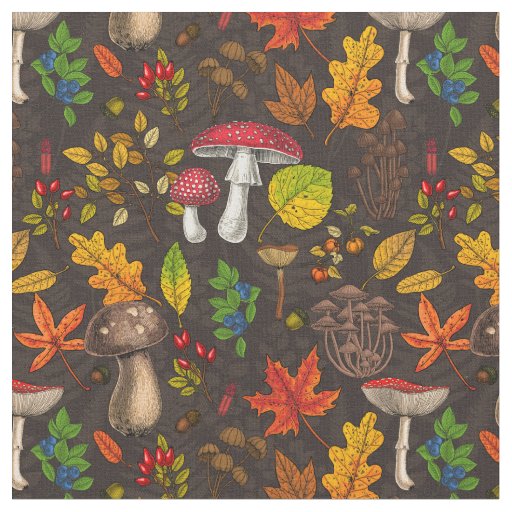 Autumn mushrooms,nuts and berries on dark fabric