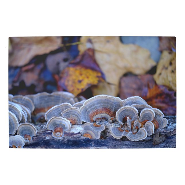 Autumn Mushrooms on a Tree Metal Print (Front)