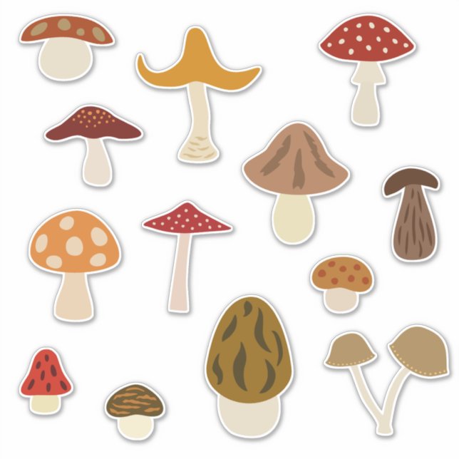 Autumn Mushrooms Vinyl Stickers (Front)