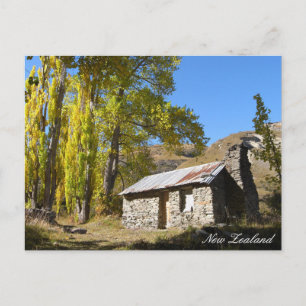 Autumn Nature, Hut, Countryside, New Zealand Postcard