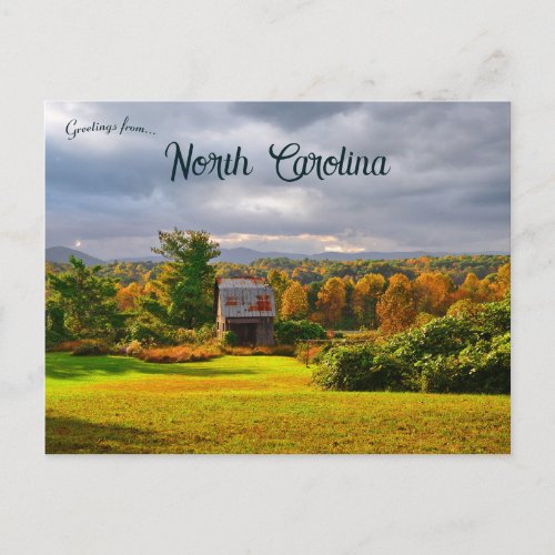 Autumn Near Mt Airy North Carolina Postcard