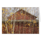 Autumn New England Barn (Front Horizontal)