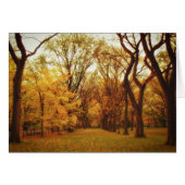 Autumn - New York City (Front Horizontal)