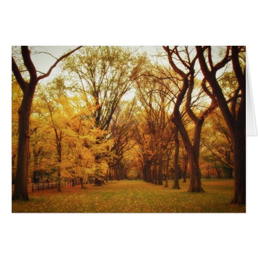 Autumn - New York City (Front Horizontal)