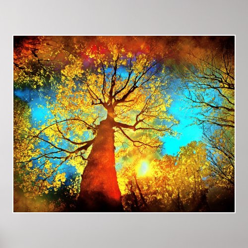 Autumn night sky Michigan Fall Autumn trees Poster