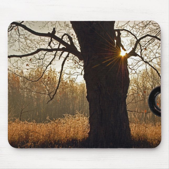 Autumn Oak Mouse Pad (Front)
