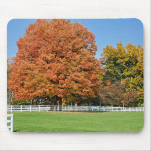 Autumn Oak Tree Mouse Pad