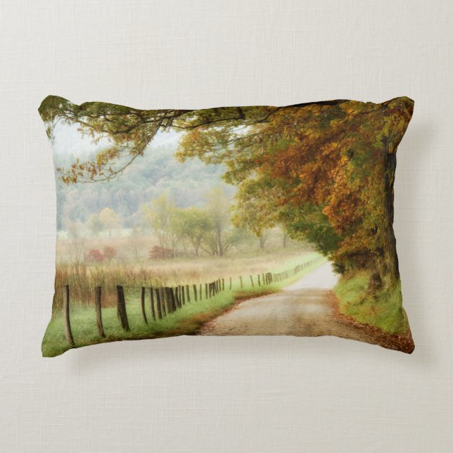 Autumn on a Country Road Accent Pillow (Front)