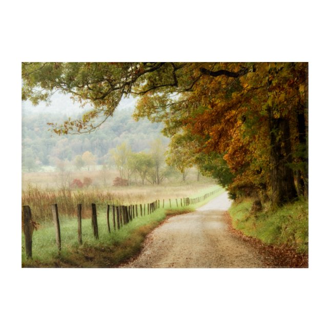 Autumn on a Country Road Acrylic Print (Front)
