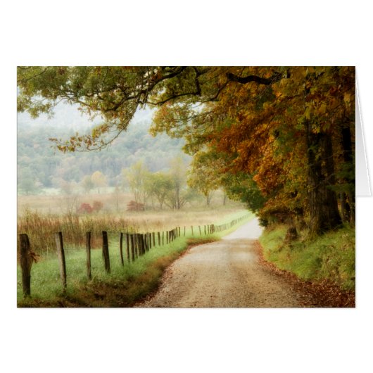 Autumn on a Country Road Cards (Front Horizontal)