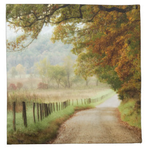 Autumn on a Country Road Cloth Napkin