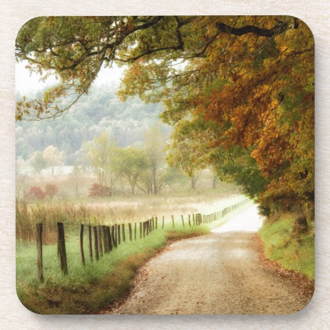 Autumn on a Country Road Coaster (Front)