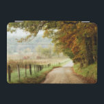 Autumn on a Country Road iPad Mini Cover<br><div class="desc">Home Décor</div>