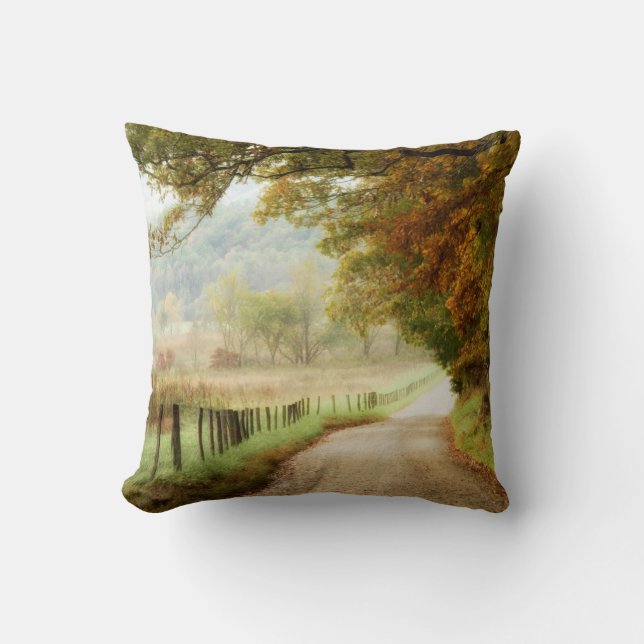 Autumn on a Country Road Throw Pillow (Front)