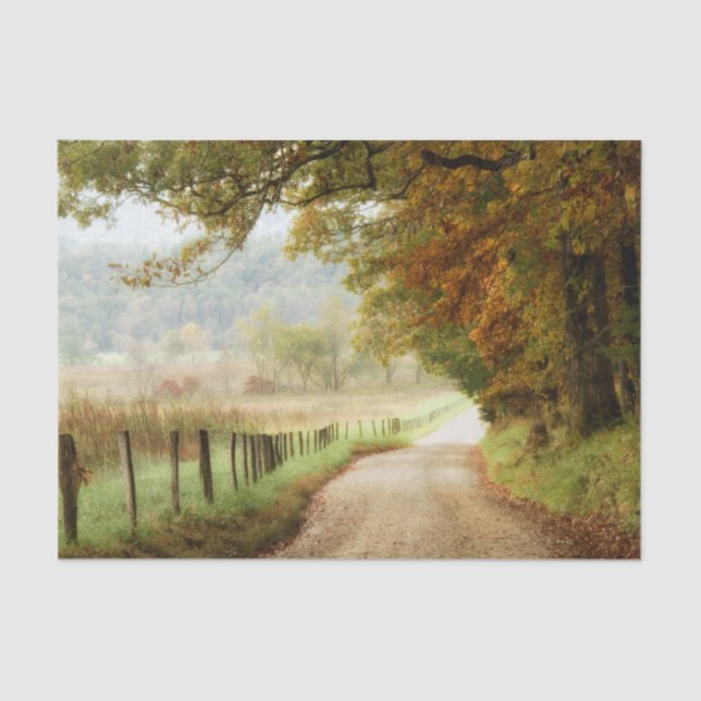 Autumn on a Country Road Tissue Paper (Front)