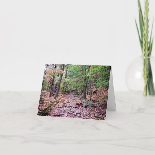 Autumn on Blue Hills Reservation Red Dot Trail Note Card