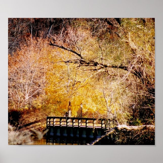 Autumn on Long Island Poster (Front)